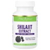 Paradise Herbs, Extracto de shilajit, 60 cápsulas vegetales
