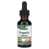Nature's Answer, Extracto de propóleo, Sin alcohol, 1000 mg, 30 ml (1 oz. líq.)