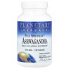 Planetary Herbals, Full Spectrum, Ginseng indio de espectro completo, 570 mg, 120 comprimidos