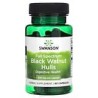 Swanson, Cáscaras de nuez negra de espectro completo, 500 mg, 60 cápsulas