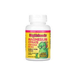 Natural Factors, Big Friends, Citrato de magnesio, Sabor a goma de mascar, 50 mg, 60 comprimidos masticables