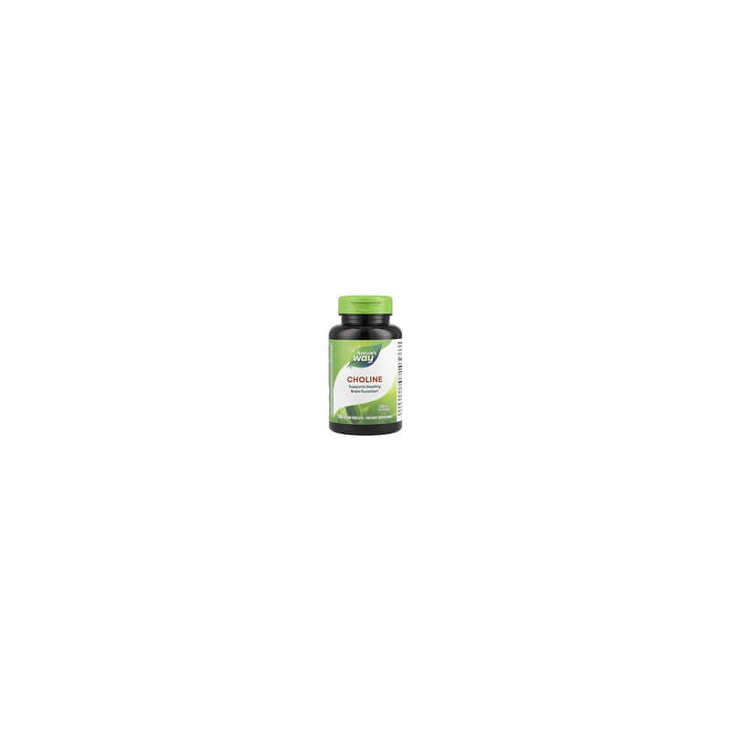 Nature's Way, Colina, 500 mg, 100 comprimidos veganos
