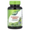 Nature's Way, Hierba de cola de caballo, 440 mg, 100 cápsulas veganas