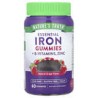Nature's Truth, Hierro esencial y vitaminas B, Gomitas de zinc, Uva natural, 60 gomitas